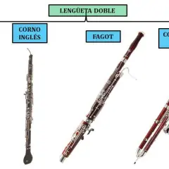 Fagot jaki to instrument – odkryj jego unikalne cechy i rolę w muzyce