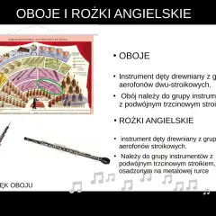 Oboje i rożki angielskie – instrumenty dęte drewniane dwu-stroikowe. Schemat orkiestry symfonicznej.