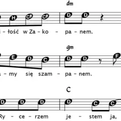 Chwyty gitarowe do piosenki miłość w Zakopanem - zagraj łatwo i szybko