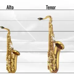 Alt lub tenor: Kluczowe różnice i znaczenie w muzyce chóralnej