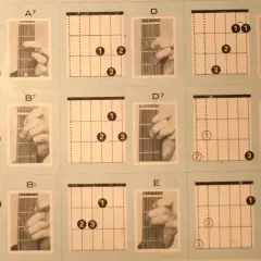 Diagramy akordów gitarowych z palcami pokazującymi chwyty A7, B7, D, D7, F, G, Bb, E, G7.