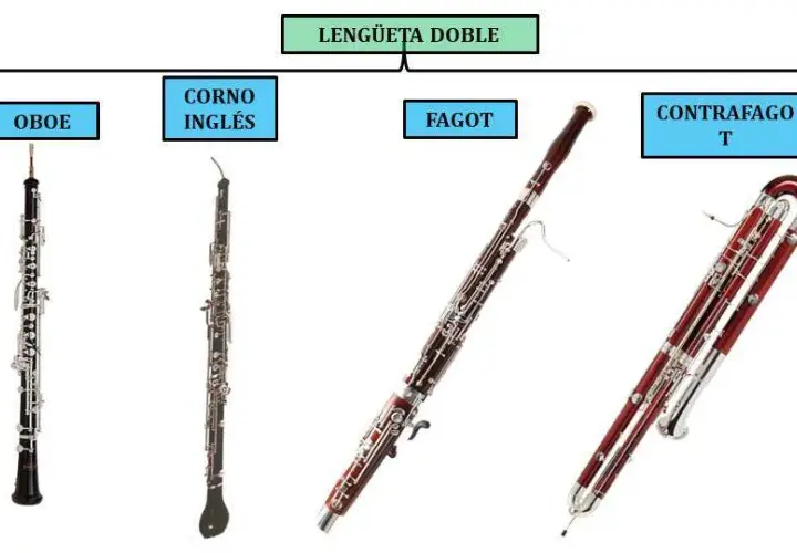 Fagot jaki to instrument – odkryj jego unikalne cechy i rolę w muzyce
