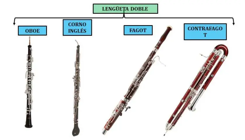 Fagot jaki to instrument – odkryj jego unikalne cechy i rolę w muzyce