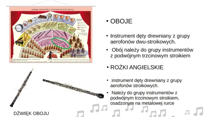 Oboje i rożki angielskie – instrumenty dęte drewniane dwu-stroikowe. Schemat orkiestry symfonicznej.