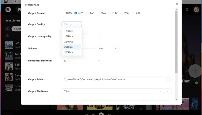Ustawienia konwertera muzyki: format MP3, jakość 256kbps, idealne do pobierania k-pop utworów.