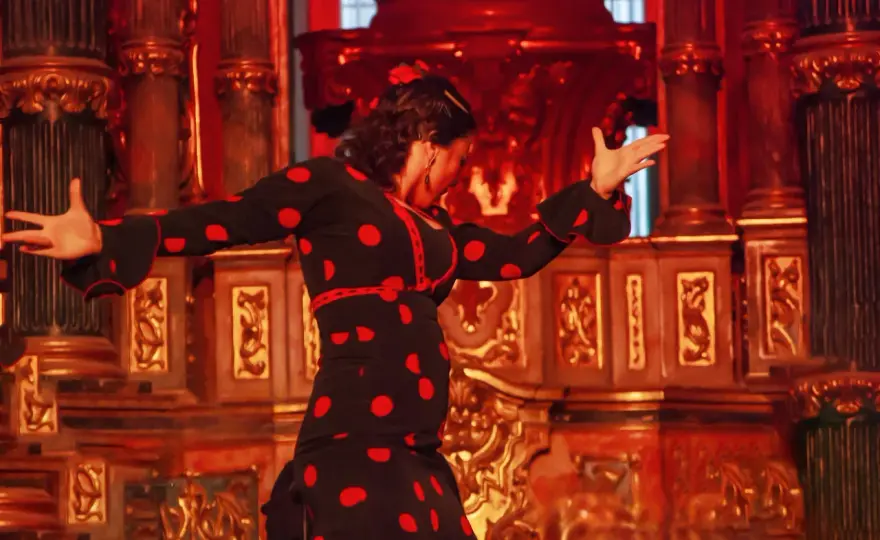 Alegría we flamenco - Co to jest i jak ją rozpoznać?
