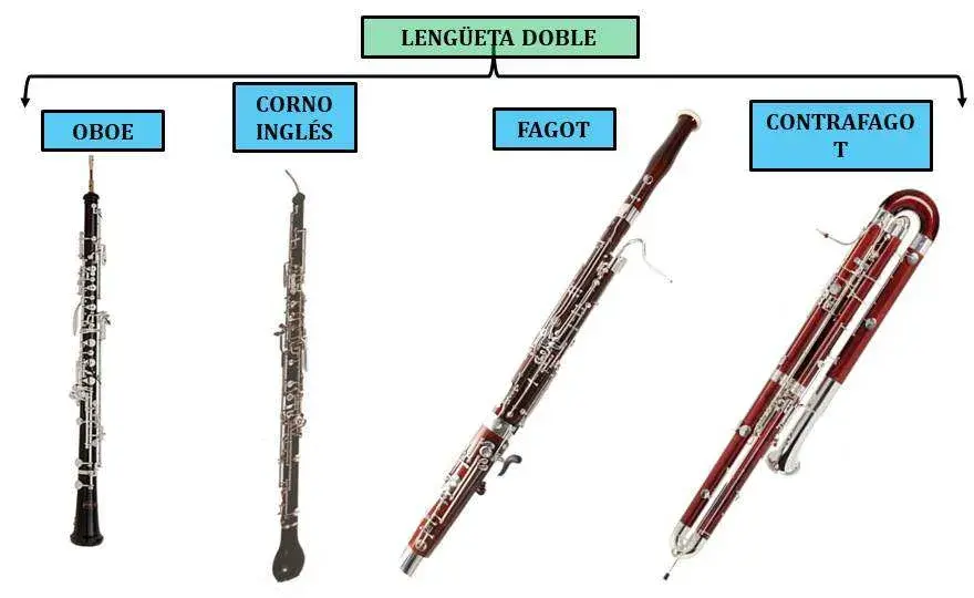 Fagot jaki to instrument – odkryj jego unikalne cechy i rolę w muzyce