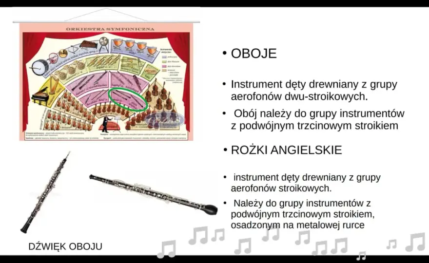 Instrumenty orkiestry symfonicznej - Jak działają i jak ich słuchać?