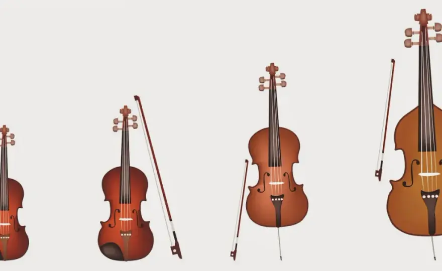 Czym się różni altówka od skrzypiec? Kluczowe różnice, które musisz znać