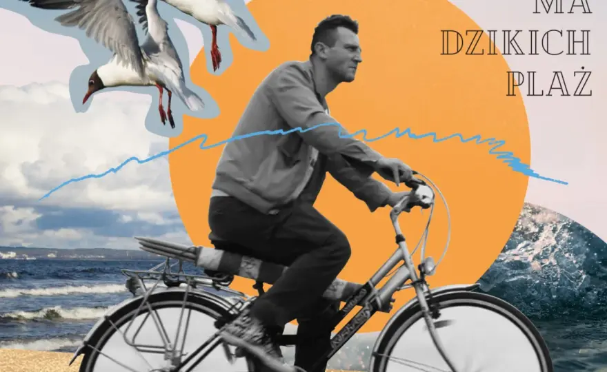 Już nie ma dzikich plaż - O czym naprawdę opowiada ten utwór?