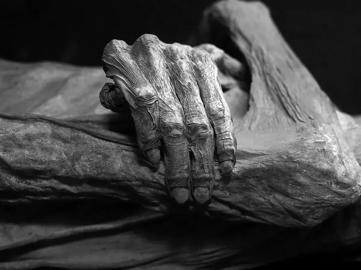 Zmarszczona dłoń, jakby w geście rozpaczy, na tle mrocznej tkaniny. Widok budzi uczucie lacrimosa.