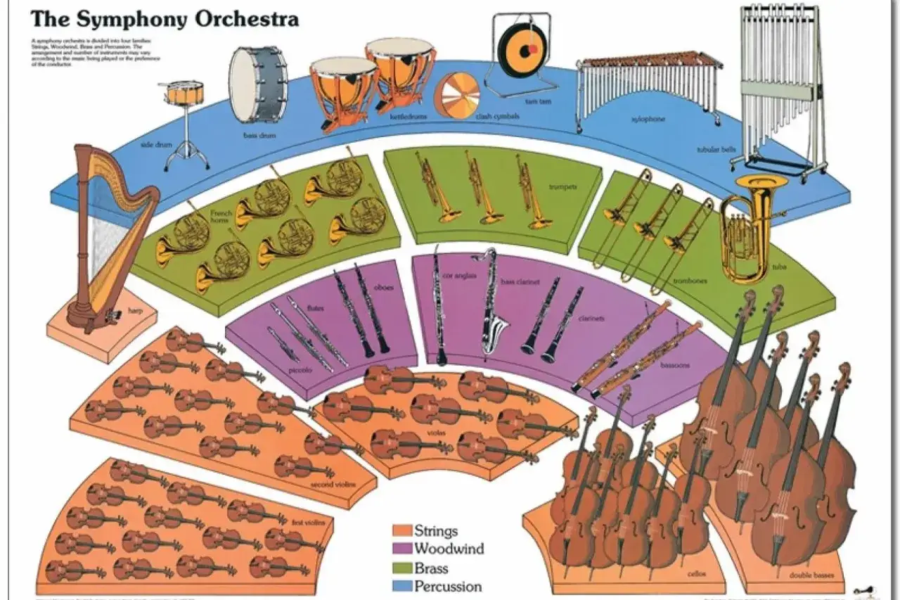 W orkiestrze symfonicznej grają instrumenty smyczkowe (skrzypce, altówki, wiolonczele, kontrabasy), dęte drewniane (flety, oboje, klarnety, fagoty), dęte blaszane (waltornie, trąbki, puzony, tuby) i perkusyjne (kotły, talerze, ksylofon).