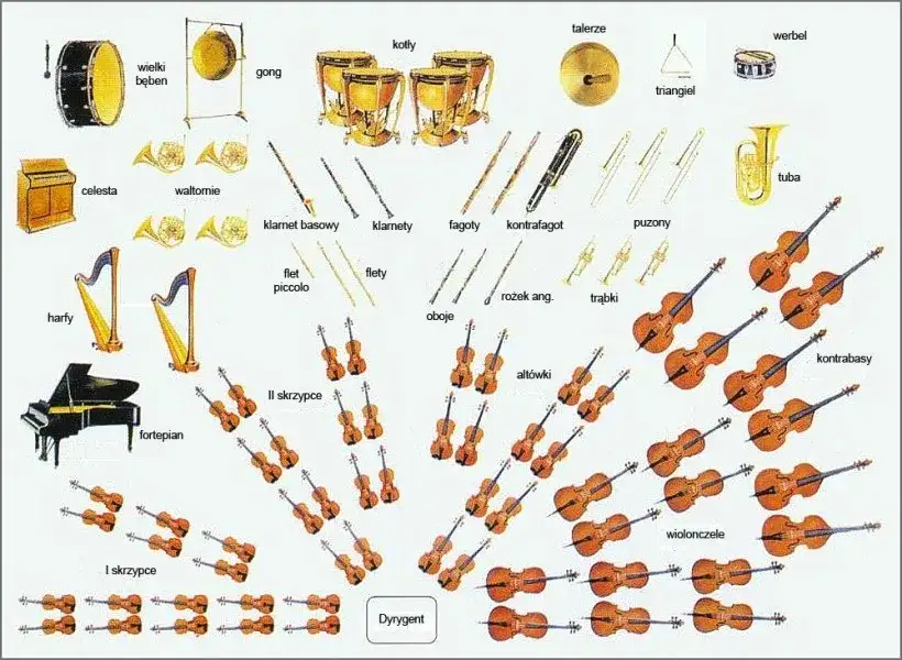 orkiestra symfoniczna instrumenty